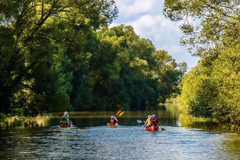 Freizeitaktivitäten in und um Bollendorf : Entdecke die Südeifel