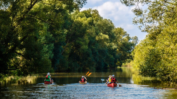 Freizeitaktivitäten in und um Bollendorf : Entdecke die Südeifel