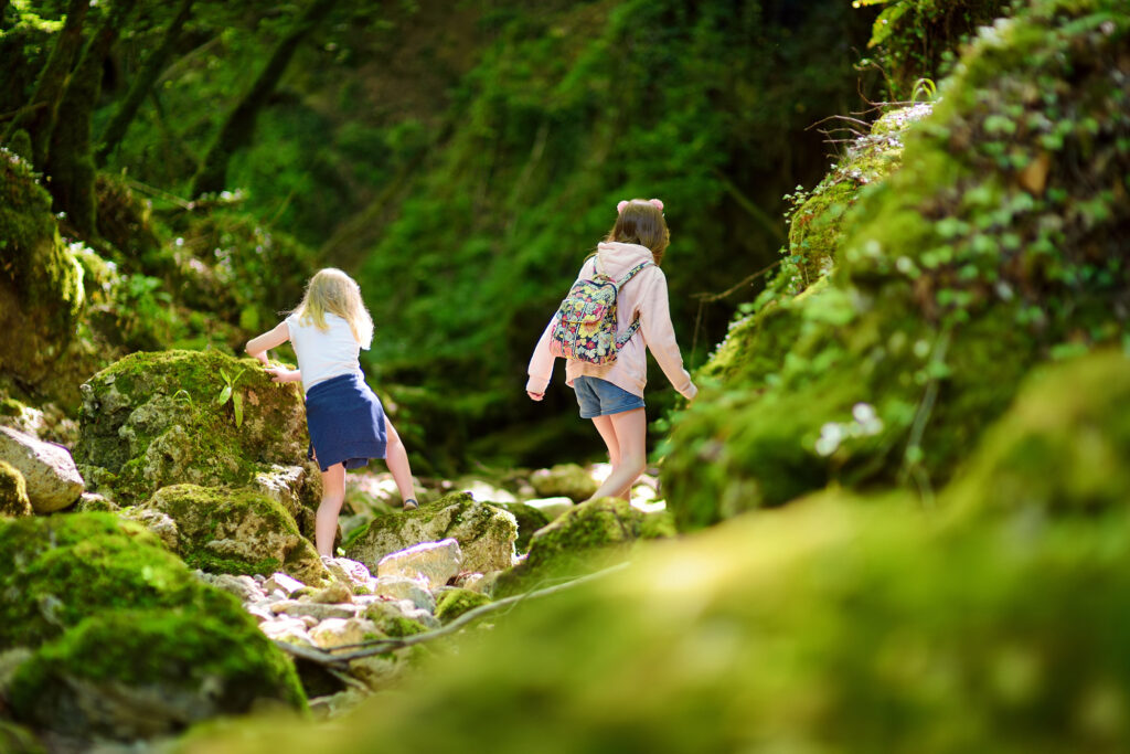Die Landschaft im deutsch-luxemburgischen Grenzgebiet