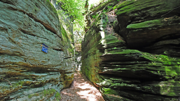 Die Top 10 Sehenswürdigkeiten rund um Bollendorf in der Südeifel